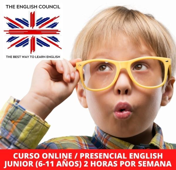 Clases de inglés online y presenciales para niños